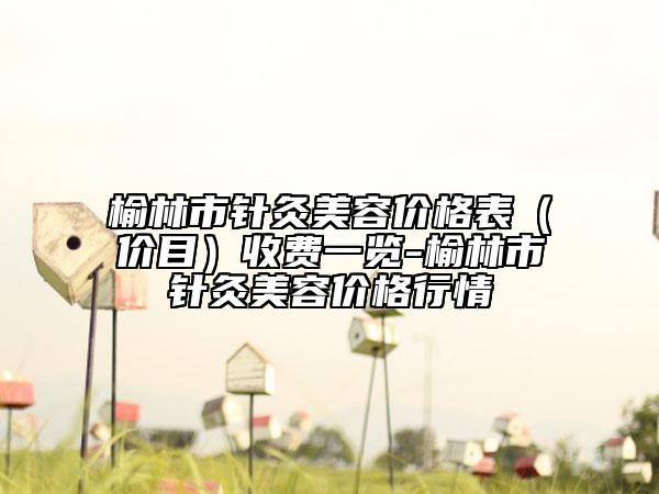 榆林市針灸美容價(jià)格表（價(jià)目）收費(fèi)一覽-榆林市針灸美容價(jià)格行情