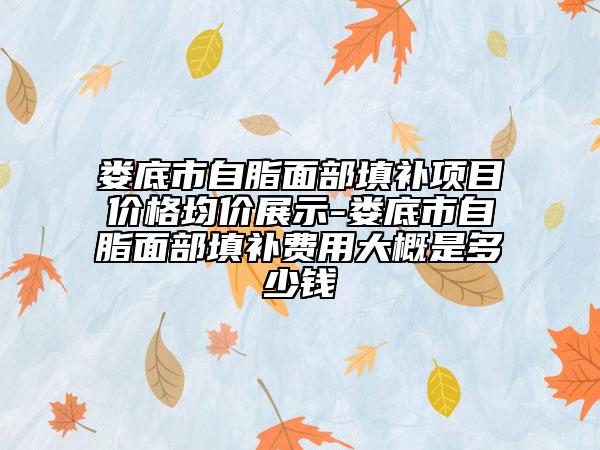 婁底市自脂面部填補(bǔ)項目價格均價展示-婁底市自脂面部填補(bǔ)費(fèi)用大概是多少錢