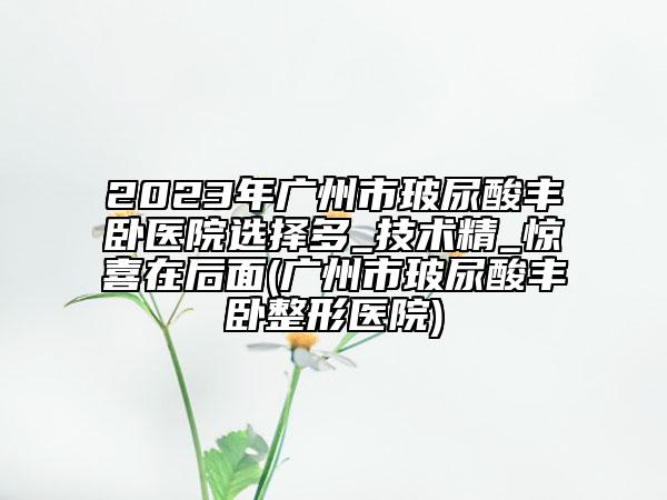 2023年廣州市玻尿酸豐臥醫(yī)院選擇多_技術精_驚喜在后面(廣州市玻尿酸豐臥整形醫(yī)院)