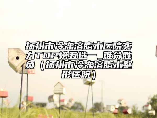 揚州市冷凍溶脂術醫(yī)院實力TOP榜五選一_難分勝負（揚州市冷凍溶脂術整形醫(yī)院）