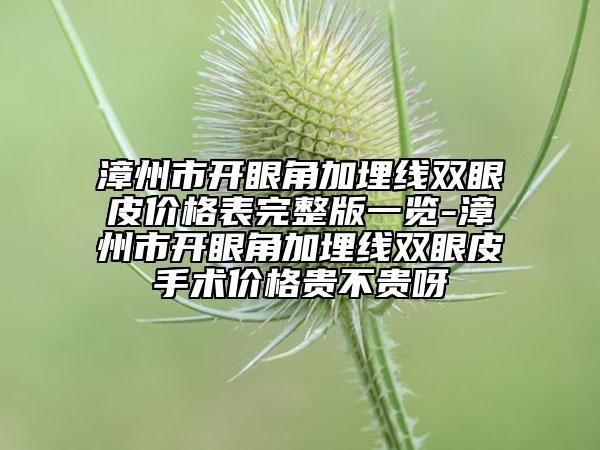 漳州市開眼角加埋線雙眼皮價(jià)格表完整版一覽-漳州市開眼角加埋線雙眼皮手術(shù)價(jià)格貴不貴呀