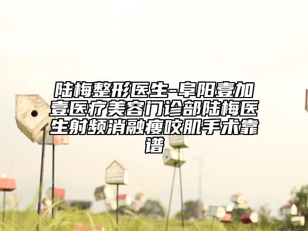 陸梅整形醫(yī)生-阜陽壹加壹醫(yī)療美容門診部陸梅醫(yī)生射頻消融瘦咬肌手術靠譜