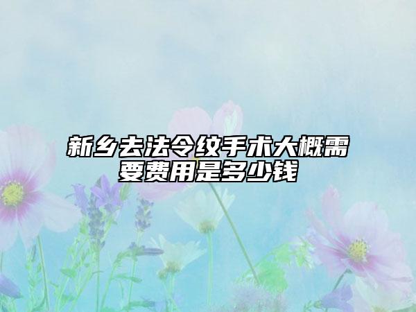 新鄉(xiāng)去法令紋手術(shù)大概需要費(fèi)用是多少錢(qián)