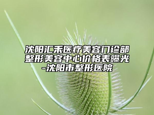 沈陽(yáng)匯禾醫(yī)療美容門(mén)診部整形美容中心價(jià)格表曝光-沈陽(yáng)市整形醫(yī)院