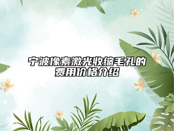寧波像素激光收縮毛孔的費(fèi)用價格介紹
