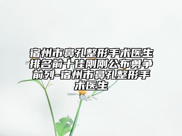 宿州市鼻孔整形手術(shù)醫(yī)生排名前十佳剛剛公布勇?tīng)?zhēng)前列-宿州市鼻孔整形手術(shù)醫(yī)生