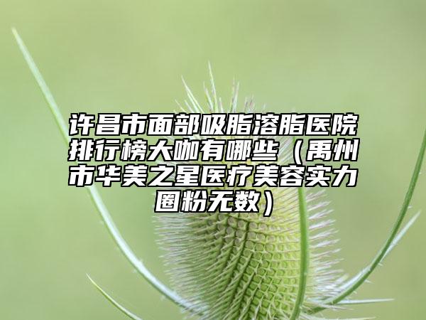 許昌市面部吸脂溶脂醫(yī)院排行榜大咖有哪些（禹州市華美之星醫(yī)療美容實力圈粉無數(shù)）