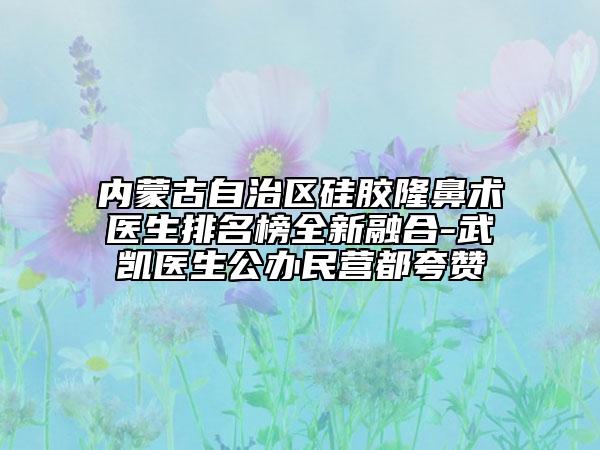 內(nèi)蒙古自治區(qū)硅膠隆鼻術醫(yī)生排名榜全新融合-武凱醫(yī)生公辦民營都夸贊