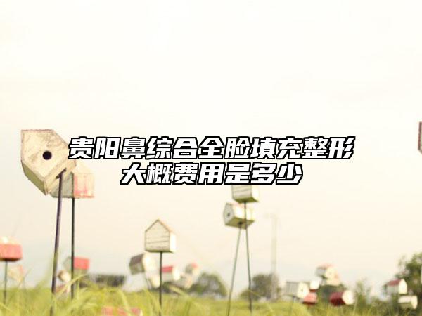 貴陽鼻綜合全臉填充整形大概費用是多少