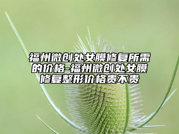福州微創(chuàng)處女膜修復(fù)所需的價(jià)格-福州微創(chuàng)處女膜修復(fù)整形價(jià)格貴不貴