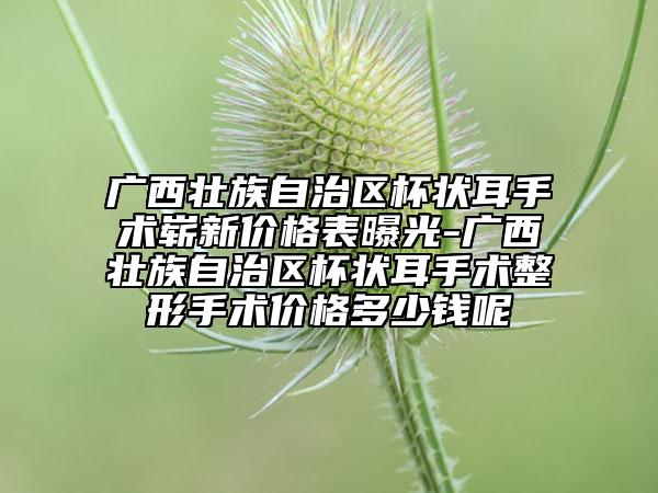 廣西壯族自治區(qū)杯狀耳手術嶄新價格表曝光-廣西壯族自治區(qū)杯狀耳手術整形手術價格多少錢呢