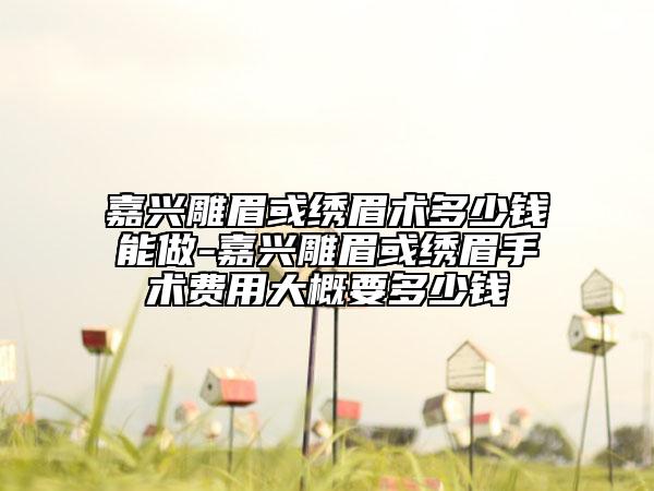 嘉興雕眉或繡眉術(shù)多少錢能做-嘉興雕眉或繡眉手術(shù)費(fèi)用大概要多少錢