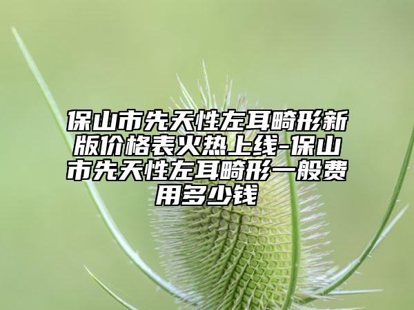 保山市先天性左耳畸形新版價(jià)格表火熱上線-保山市先天性左耳畸形一般費(fèi)用多少錢