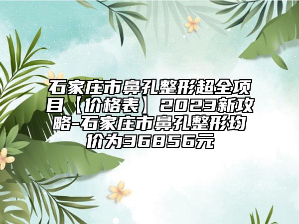 石家莊市鼻孔整形超全項目【價格表】2023新攻略-石家莊市鼻孔整形均價為36856元