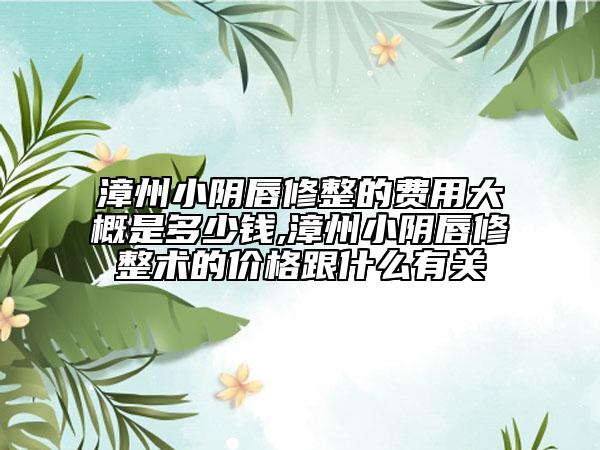 漳州小陰唇修整的費用大概是多少錢,漳州小陰唇修整術的價格跟什么有關