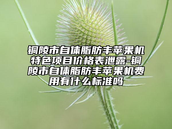 銅陵市自體脂肪豐蘋果機(jī)特色項(xiàng)目?jī)r(jià)格表泄露-銅陵市自體脂肪豐蘋果機(jī)費(fèi)用有什么標(biāo)準(zhǔn)嗎