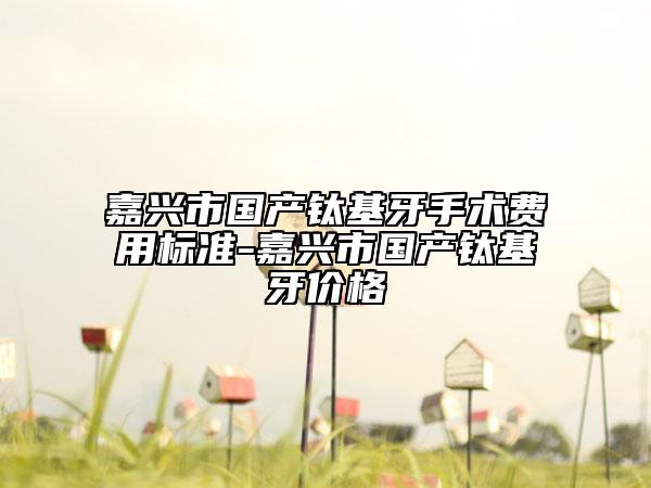 嘉興市國產(chǎn)鈦基牙手術(shù)費用標(biāo)準(zhǔn)-嘉興市國產(chǎn)鈦基牙價格