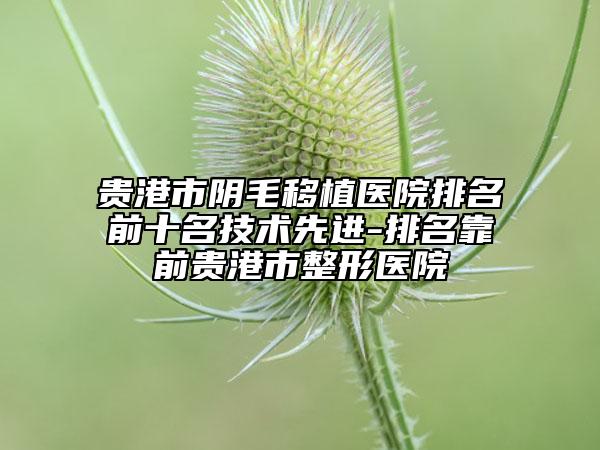 貴港市陰毛移植醫(yī)院排名前十名技術先進-排名靠前貴港市整形醫(yī)院