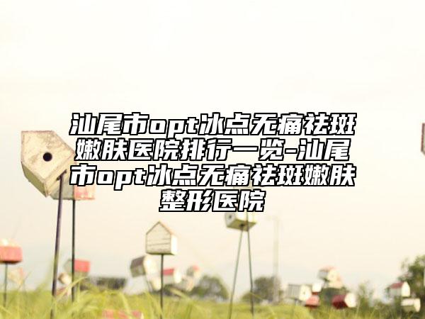 汕尾市opt冰點(diǎn)無(wú)痛祛斑嫩膚醫(yī)院排行一覽-汕尾市opt冰點(diǎn)無(wú)痛祛斑嫩膚整形醫(yī)院