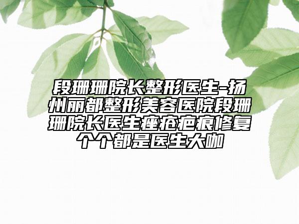 段珊珊院長整形醫(yī)生-揚州麗都整形美容醫(yī)院段珊珊院長醫(yī)生痤瘡疤痕修復(fù)個個都是醫(yī)生大咖