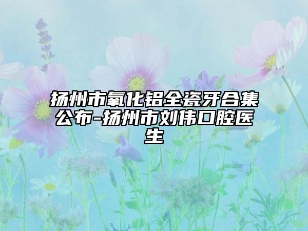 揚(yáng)州市氧化鋁全瓷牙合集公布-揚(yáng)州市劉偉口腔醫(yī)生