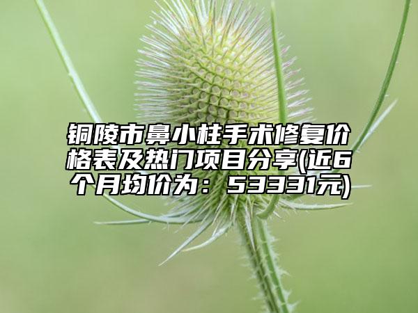 銅陵市鼻小柱手術(shù)修復(fù)價格表及熱門項目分享(近6個月均價為：53331元)