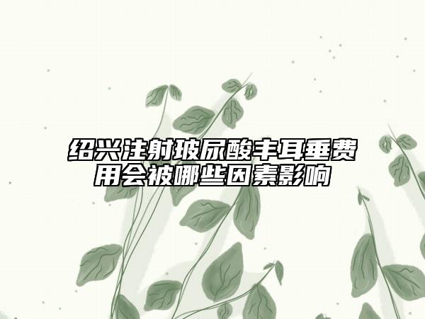紹興注射玻尿酸豐耳垂費(fèi)用會(huì)被哪些因素影響