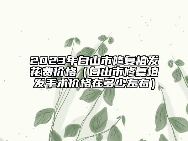 2023年白山市修復(fù)植發(fā)花費(fèi)價(jià)格（白山市修復(fù)植發(fā)手術(shù)價(jià)格在多少左右）