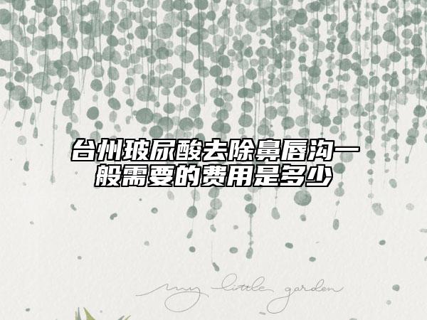 臺(tái)州玻尿酸去除鼻唇溝一般需要的費(fèi)用是多少