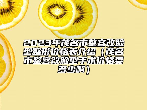 2023年茂名市整容改臉型整形價格表介紹（茂名市整容改臉型手術價格要多少?。? data-alt=