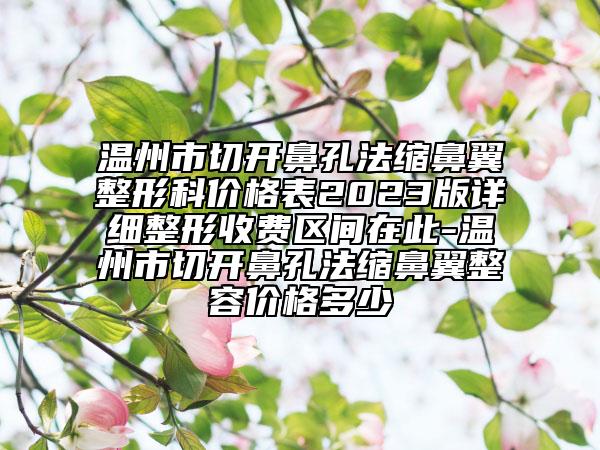 溫州市切開鼻孔法縮鼻翼整形科價格表2023版詳細(xì)整形收費(fèi)區(qū)間在此-溫州市切開鼻孔法縮鼻翼整容價格多少