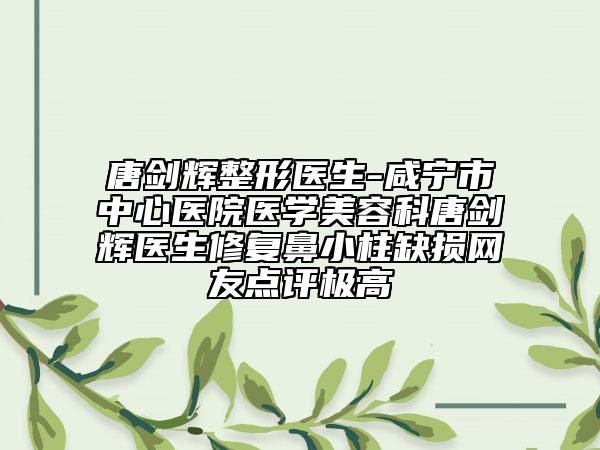 唐劍輝整形醫(yī)生-咸寧市中心醫(yī)院醫(yī)學(xué)美容科唐劍輝醫(yī)生修復(fù)鼻小柱缺損網(wǎng)友點評極高