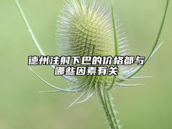 德州注射下巴的價(jià)格都與哪些因素有關(guān)