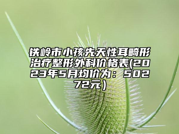 鐵嶺市小孩先天性耳畸形治療整形外科價格表(2023年5月均價為：50272元）