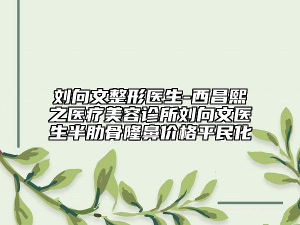 劉向文整形醫(yī)生-西昌熙之醫(yī)療美容診所劉向文醫(yī)生半肋骨隆鼻價格平民化
