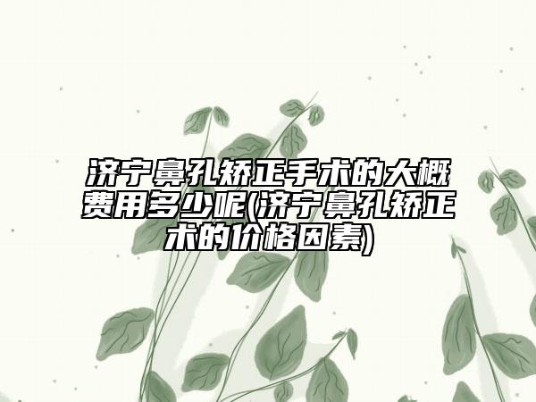 濟(jì)寧鼻孔矯正手術(shù)的大概費(fèi)用多少呢(濟(jì)寧鼻孔矯正術(shù)的價(jià)格因素)