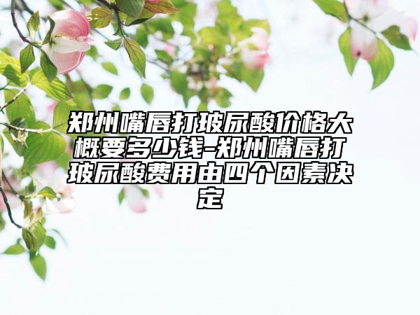 鄭州嘴唇打玻尿酸價格大概要多少錢-鄭州嘴唇打玻尿酸費(fèi)用由四個因素決定