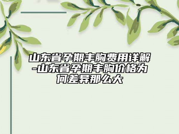 山東省孕期豐胸費(fèi)用詳解-山東省孕期豐胸價(jià)格為何差異那么大