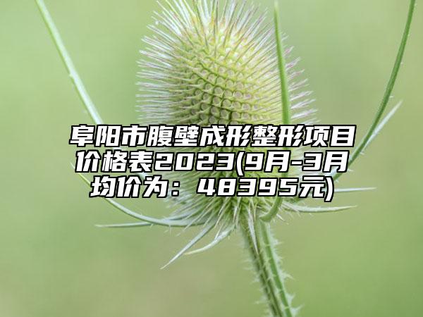 阜陽(yáng)市腹壁成形整形項(xiàng)目?jī)r(jià)格表2023(9月-3月均價(jià)為：48395元)