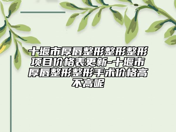 十堰市厚唇整形整形整形項(xiàng)目價(jià)格表更新-十堰市厚唇整形整形手術(shù)價(jià)格高不高呢