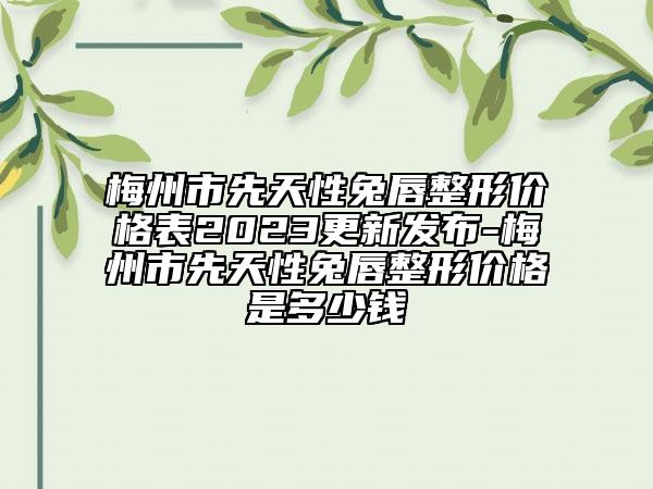 梅州市先天性兔唇整形價格表2023更新發(fā)布-梅州市先天性兔唇整形價格是多少錢