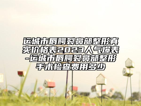 運(yùn)城市唇腭裂鼻部整形真實(shí)價(jià)格表2023人氣爆表-運(yùn)城市唇腭裂鼻部整形手術(shù)檢查費(fèi)用多少