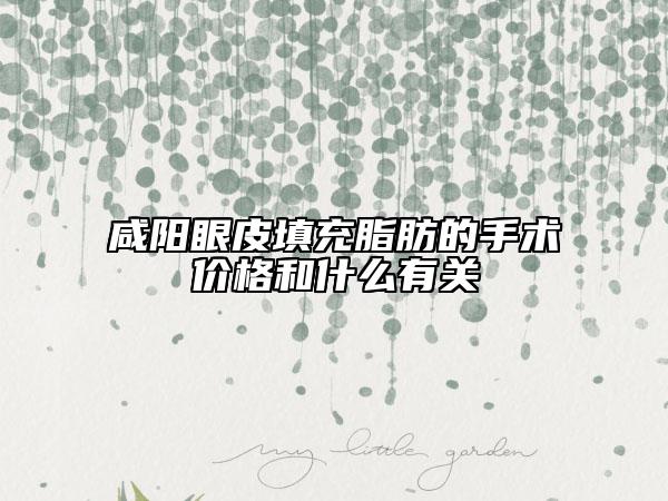 咸陽眼皮填充脂肪的手術價格和什么有關