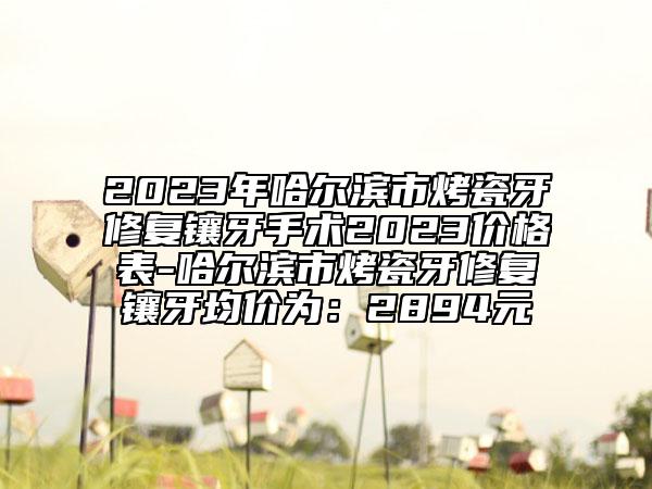 2023年哈爾濱市烤瓷牙修復(fù)鑲牙手術(shù)2023價(jià)格表-哈爾濱市烤瓷牙修復(fù)鑲牙均價(jià)為：2894元