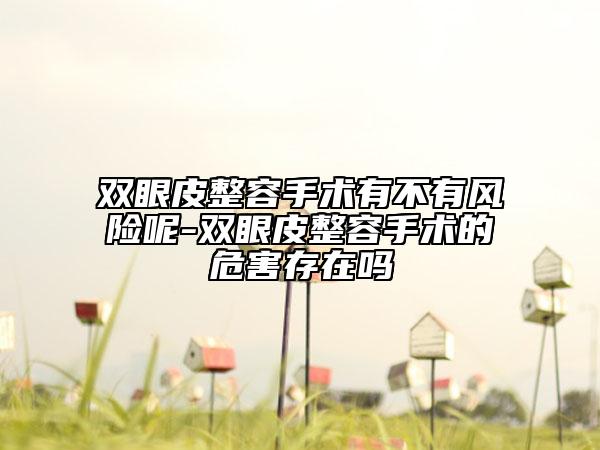 雙眼皮整容手術(shù)有不有風(fēng)險呢-雙眼皮整容手術(shù)的危害存在嗎