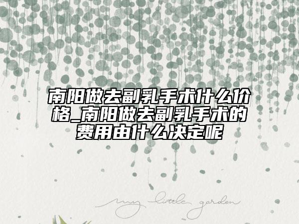南陽做去副乳手術(shù)什么價(jià)格_南陽做去副乳手術(shù)的費(fèi)用由什么決定呢