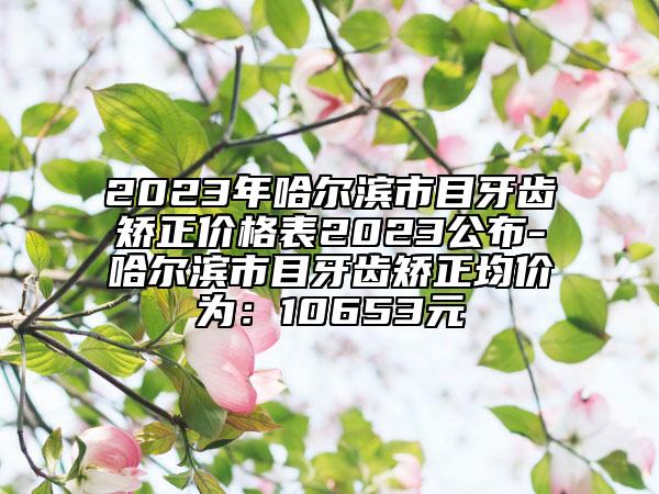 2023年哈爾濱市目牙齒矯正價(jià)格表2023公布-哈爾濱市目牙齒矯正均價(jià)為：10653元