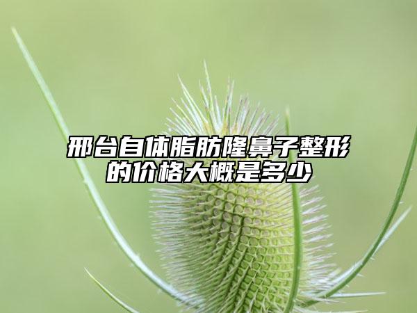 邢臺自體脂肪隆鼻子整形的價格大概是多少