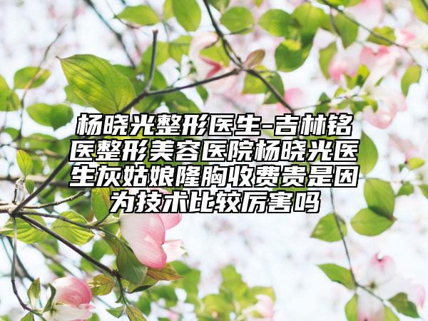 楊曉光整形醫(yī)生-吉林銘醫(yī)整形美容醫(yī)院楊曉光醫(yī)生灰姑娘隆胸收費(fèi)貴是因?yàn)榧夹g(shù)比較厲害嗎