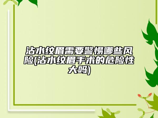 沾水紋眉需要警惕哪些風(fēng)險(xiǎn)(沾水紋眉手術(shù)的危險(xiǎn)性大嗎)